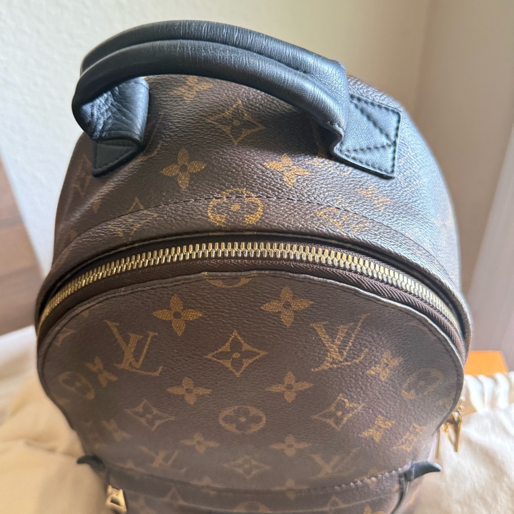 Louis Vuitton Palm Springs PM backpack - Picture 15 of 17
